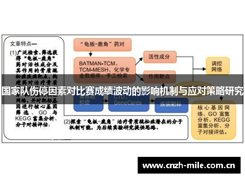 国家队伤停因素对比赛成绩波动的影响机制与应对策略研究 国家队伤停因素对比赛成绩波动的影响机制与应对策略研究